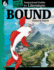 Bound: an Instructional Guide for Literature Ebook