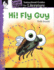 Hi! Fly Guy: an Instructional Guide for Literature