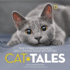 Cat Tales: True Stories of Kindn