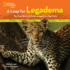 A Leap for Legadema: the True Story of a Little Leopard in a Big World (Baby Animal Tales)