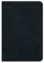 Holy Bible: New Revised Standard Version, Black, Bonded Leather, Premium