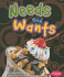 Needs and Wants (Pebble Books)