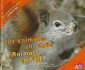 Los Animales En Otoo/Animals in Fall