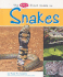 The Pebble First Guide to Snakes (Pebble First Guides)