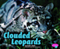 Clouded Leopards (Pebble Plus, Wildcats)