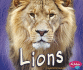 Lions [Scholastic] (African Animals)