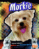 Morkie: a Cross Between a Maltese and a Yorkshire Terrier (Designer Dogs)