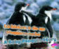 La Historia de Un Ping?ino Beb?/A Baby Penguin Story