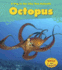 Octopus (a Day in the Life: Sea Animals)
