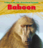 Baboon (Heinemann Read and Learn: a Day in the Life: Grassland Animals)