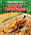 Journey of a Bowl of Cornflakes (Heinemann First Library)