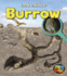 Burrow