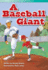 Teacher Created Materials-Literary Text: a Baseball Giant-Grade 3-Guided Reading Level Q