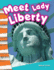 Teacher Created Materials-Primary Source Readers: Meet Lady Liberty-Guided Reading Level B