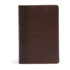 The Study Bible for Women: Christian Standard Bible, Chocolate, Leathertouch