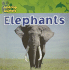 Elephants