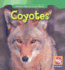 Coyotes/ Coyotes (Animals That Live in the Desert/ Animales Del Desierto) (English and Spanish Edition)