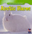 Arctic Hares (Animals That Live in the Tundra)