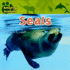 Seals (All About Animals)