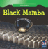 Black Mamba (Killer Snakes)