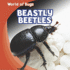 Beastly Beetles (World of Bugs)