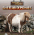 Shetland Ponies (Horsing Around)