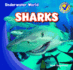 Sharks (Underwater World)