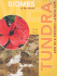 Tundra: Life in a Frozen Landscape (Biomes of the World)