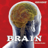 Brain (Body Works)