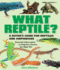 What Reptile? : a Buyer's Guide