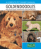 Goldendoodles: Complete Guide to Characteristics, Behavior, Health & Wellness, Training, and Everyday Care for Your Goldendoodle Puppy Or Dog (Complete Pet Owner's Manuals)