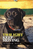 Twilight Keep Moving