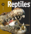 Reptiles (Insiders)