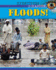 Eyewitness Disaster: Floods!