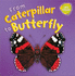 From Caterpillar to Butterfly (Lifecycles)