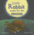 Little Rabbit Waits for the Moon (Meadowside Pic Books)