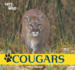 Cougars (Cats of the Wild)