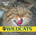 Wildcats (Cats of the Wild)