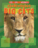 Carnivorous Big Cats (Eye to Eye With Animals (Library))