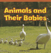 animals and their babies
