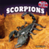 Scorpions (Monsters of the Animal Kingdom)