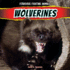 Wolverines (Ferocious Fighting Animals)