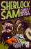 Sherlock Sam and the Ghostly Moans in Fort Canning: Book Two (Volume 2)