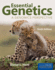 Essential Genetics-Book Alone: a Genomics Perspective