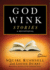 Godwink Stories: a Devotional (3) (the Godwink Series)