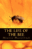 The Life of the Bee