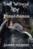 Sad Wings of Providence