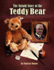 The Untold Story of the Teddy Bear