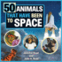 50 Animals That Have Been to Space (the Beginner's Guide to Space)