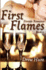 Fireside Romance Book 1: First Flames